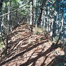 221112_p48.jpg