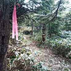 240612_p57.jpg