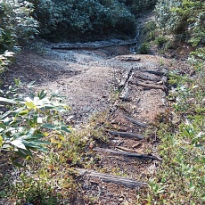240530_p10.jpg