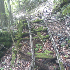 110703_p04.jpg