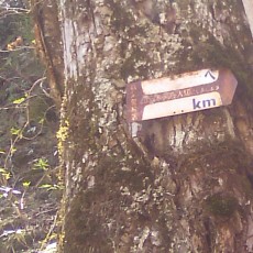 140511_p11.jpg