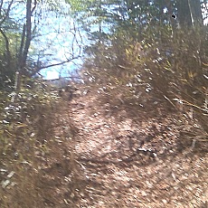 140517_p17.jpg