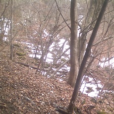 150314_p06.jpg