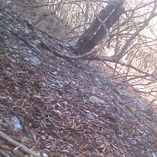 150330_p11.jpg