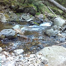 150523_p22.jpg