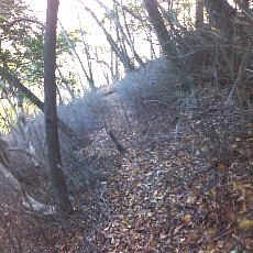 151025-01_p07.jpg