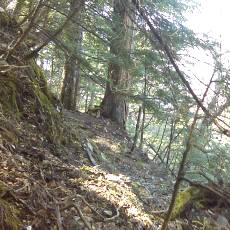 160505_p15.jpg