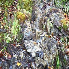 171008_p09.jpg