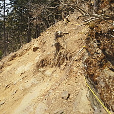 180329_p20.jpg