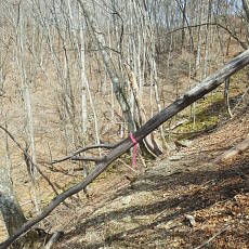 180329_p24.jpg