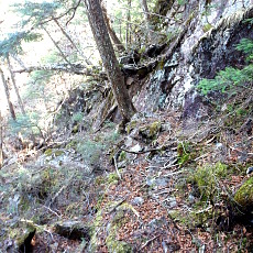 180428_p05.jpg