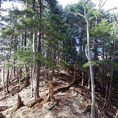 190420_p10.jpg