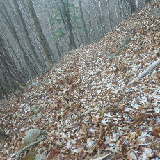 191129_p06.jpg