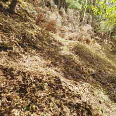 200024_p02.jpg