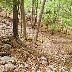 200024_p35.jpg