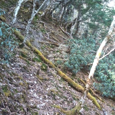 230414_p21.jpg