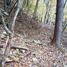 231030_p23.jpg