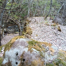 230502_p51.jpg
