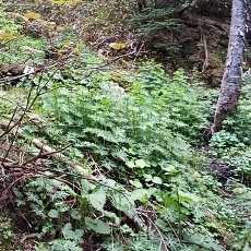 240612_p32.jpg