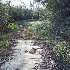240530_p13.jpg