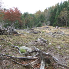 090926_n03.jpg