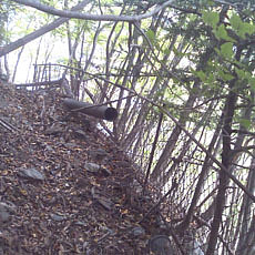 121014_p03.jpg