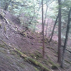141004_p29.jpg