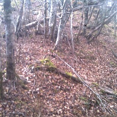 141004_p39.jpg