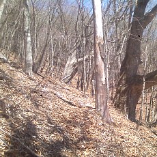 150331_p17.jpg
