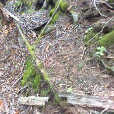 150523_p35.jpg
