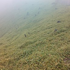 151011_p01.jpg