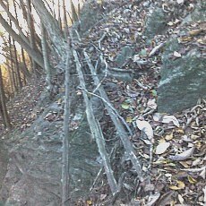 151025-02_p06.jpg