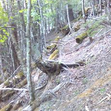 160603_p26.jpg