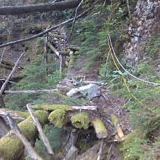 160603_p34.jpg