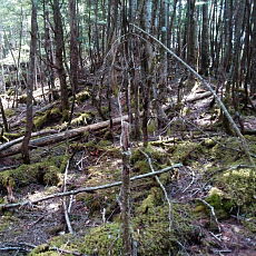 170429_p24.jpg