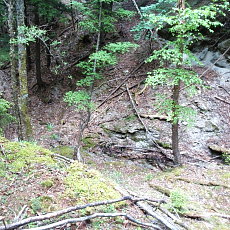 170617_p31.jpg