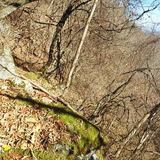 171112_p03.jpg