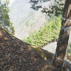 180329_p31.jpg