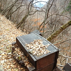 190323_p26.jpg