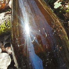 190505_p18.jpg