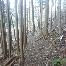 191129_p03.jpg