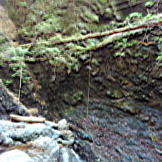 200605_p04.jpg
