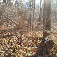 201220_p16.jpg