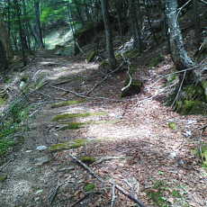210612_p37.jpg