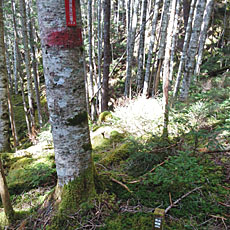 210916_p30.jpg