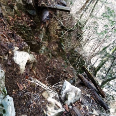 220416_p18.jpg