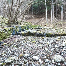 230304_p03.JPG
