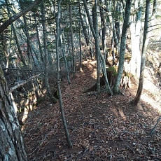 221112_p20.jpg