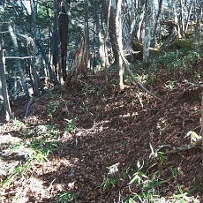 221112_p24.jpg