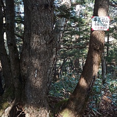 221112_p29.jpg